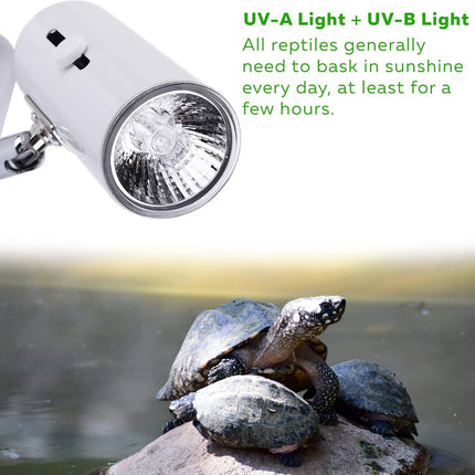 4-Pack 75W UVA+UVB Bulbs | Heat and Light for Reptiles and Amphibian Tanks, Terrariums and Cages | Works with Various Lamp Fixtures.