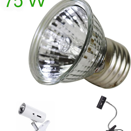 4-Pack 75W UVA+UVB Bulbs | Heat and Light for Reptiles and Amphibian Tanks, Terrariums and Cages | Works with Various Lamp Fixtures.