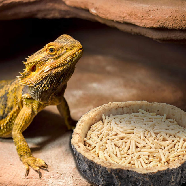2 Pack Reptile Water and Food Bowls, Novelty Food Bowl for Lizards, Young Bearded Dragons, Small Snakes and More - Made from BPA-Free Plastic.