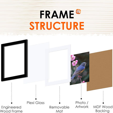 5x7 Picture Frame Set of 2 & 8x10 Picture Frame Set of 2, Photo Frame with HD Plexiglass, Display Pictures 5x7 with Mat or 8x10 Without Mat.