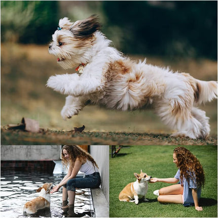 Pet Care Cartoz.