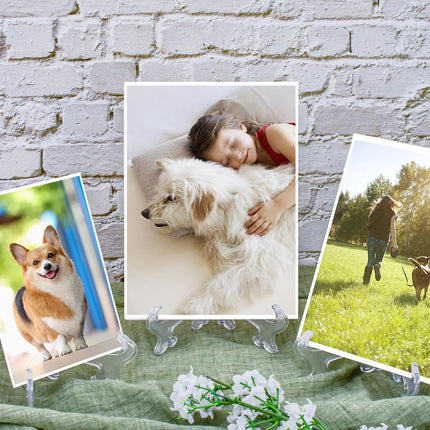 25 Pack Acrylic Easel Stand 3 Inch Clear Plastic Easels Plate Holders Mini Easels Display Stand for Photos, Sports Cards, Baseball Card, Coins, Small Items.