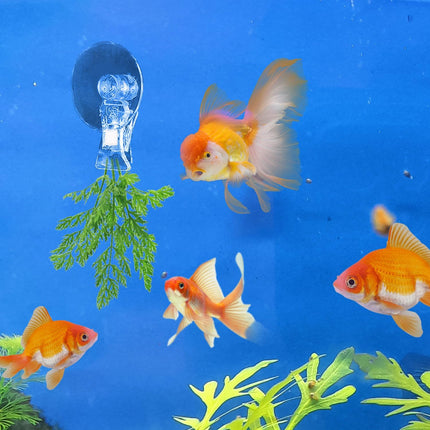 12Pcs Veggie Clips Aquarium Seaweed Clips Fish Food Holder Wide Mouth Clips Plants Suction Cups Algae Clips for Freshwater and Marine Fish Tank (Plastic).