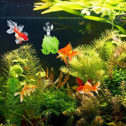 12Pcs Veggie Clips Aquarium Seaweed Clips Fish Food Holder Wide Mouth Clips Plants Suction Cups Algae Clips for Freshwater and Marine Fish Tank (Plastic).