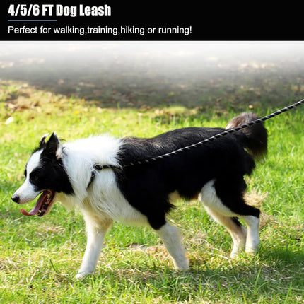 2 Pack Dog Leash, 4/5//6 FT Heavy Duty Nyl Rope Pet Leashes with Comfortable Padded Handle, Reflective Dog Leashes for Small Medium and Large Dogs (5FT-1/2,Black/Black).