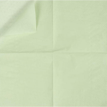 100 Pack Cocktail Napkin 2-Ply Dessert Napkins Folded 5 x 5 Inches Disposable Napkins for Dinner Wedding Birthday Party Bridal Anniversary Recepti Event (100, Sage-Green).