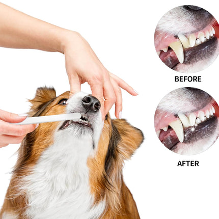 Pet Care Cartoz.