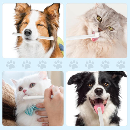 Pet Care Cartoz.