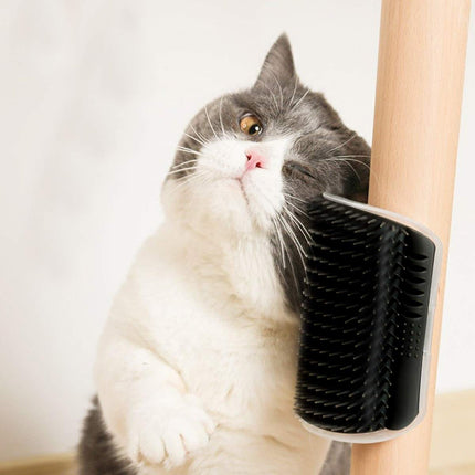 2 Pack Black Catnip Wall Massage Corner Brush for Long & Short Fur Cats and Kittens - Self Groomer Scratcher with Soft Comb.