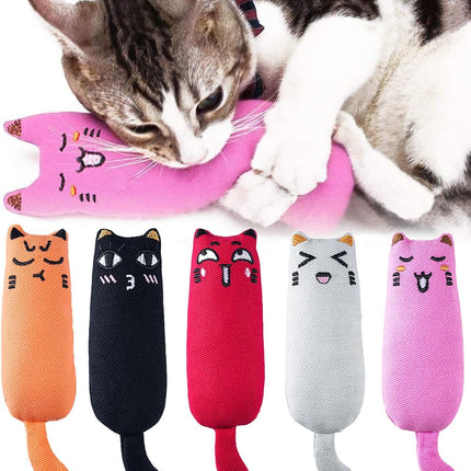 Pet Care Cartoz.