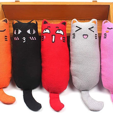 Pet Care Cartoz.