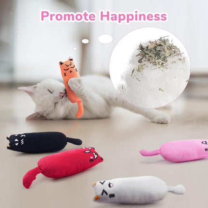 Pet Care Cartoz.
