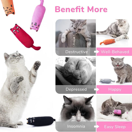 Pet Care Cartoz.