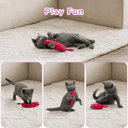 Pet Care Cartoz.