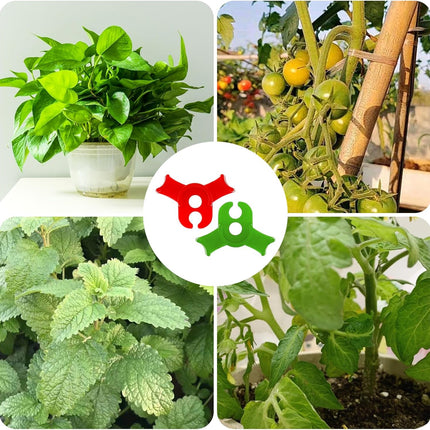 60Pcs Plant Training Clips, Reusable 90 Degrees Bud Trainer Lst Clips for Low Stress Training Plant Stem Support Bud Bender for Tomatoes Cucumbers Climbing Plants in Indoor Outdoor Gardens (Red Green).