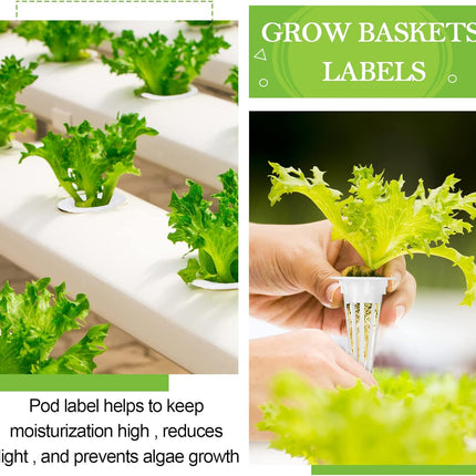 Cunhill 100 Pcs Hydroponic Growing Kit Include 50 Pcs Plant Replacement Basket Containers and 50 Pcs Seed Pot Label Compatible with Hydroponic Growing System(0.5 Inch,White).