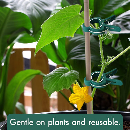 48 Pcs Garden Plant Clips, Plant Support Clips for Securing Stems, Flowers or Climbing Vines to Tomato Cages, Trellis.