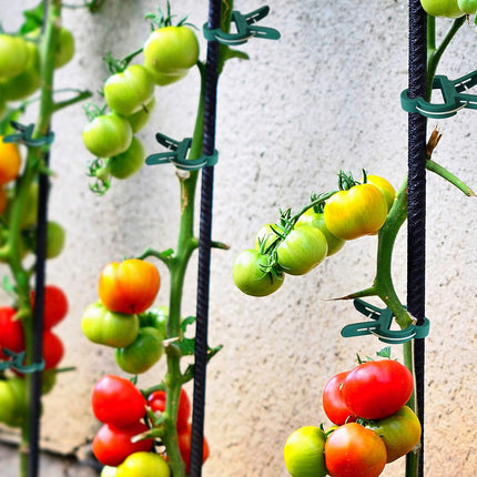 48 Pcs Garden Plant Clips, Plant Support Clips for Securing Stems, Flowers or Climbing Vines to Tomato Cages, Trellis.