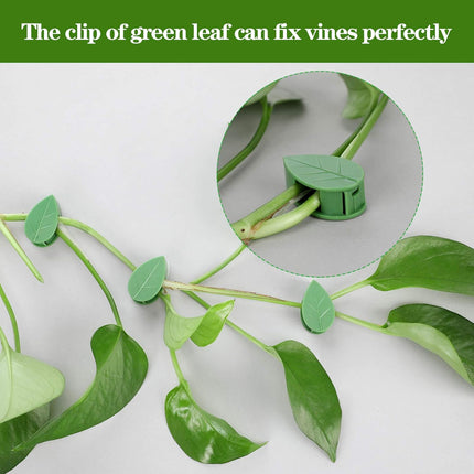 60 Pieces Plant Climbing Wall Fixture Clips with 72 Pieces Acrylic Adhesive Sticker Leaf Fixer Invisible Wall Vines Fixing Clips Hook Plant Vine Traction for Indoor Outdoor Decoration.