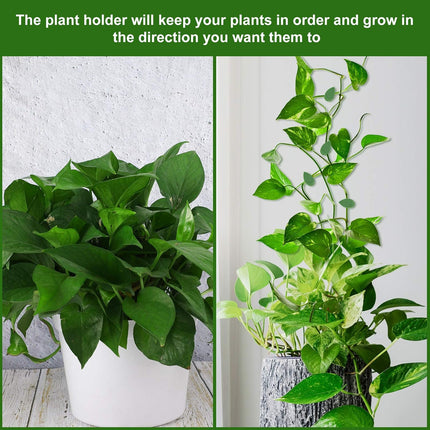 60 Pieces Plant Climbing Wall Fixture Clips with 72 Pieces Acrylic Adhesive Sticker Leaf Fixer Invisible Wall Vines Fixing Clips Hook Plant Vine Traction for Indoor Outdoor Decoration.