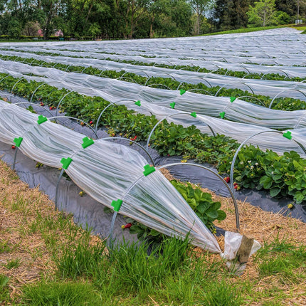 40 Pieces Greenhouse Clamps Film Row Cover Netting Tunnel Hoop Clip Frame Shading Net Rod Clip Greenhouse Film Clamps for Season Plant Extension Support (40 pieces,10 mm).