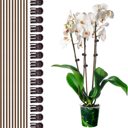 10Pcs Plant Support Stakes with 15Pcs Plant Clips, 15.75inch Tall Bendable Single Stem Sticks Orchid Clips Brown Helps Growth for Indoor Outdoor Flowers Rose Amaryllis.