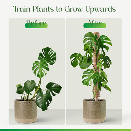 Moss Pole for Plants Monstera, Extendable Plant Sticks Support, Plant Stakes for Indoor Potted Plant, 15.7'' Coco Coir Pole Plant Trellis for Sphagnum, Pothos and Other Climbing Plants(2 PCS).
