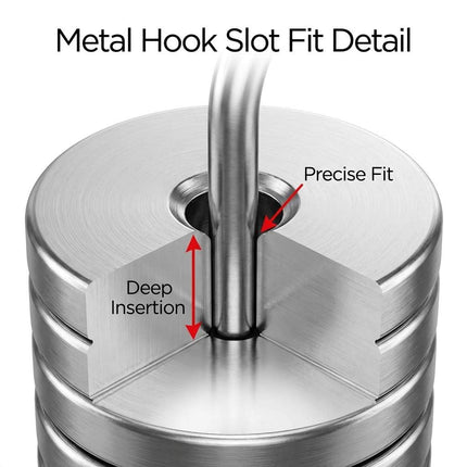 Lab Slotted Mass Set, 2 Set of Chromium-Plated Metal Slotted Weights, One Set - Total 100g - Includes 9 Weights (10g Each) & One Hanger (10g).
