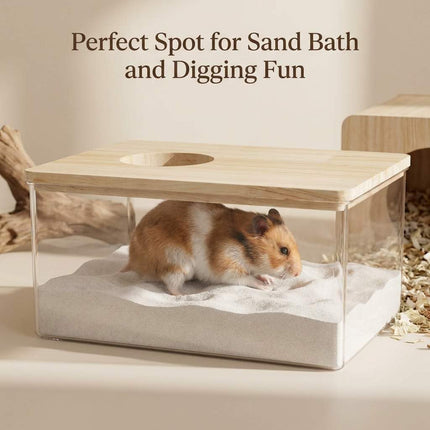 Pet Care Cartoz.