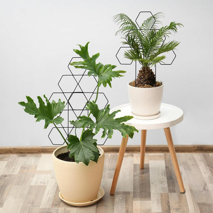 Plant Trellis for Climbing Plants Indoor 3 Pack Stackable Outdoor DIY Metal Trellis for Potted Plants 15.7 Inch Small Honeycomb Garden Trellis for Vines Clematis Wisteria Houseplant(Black).