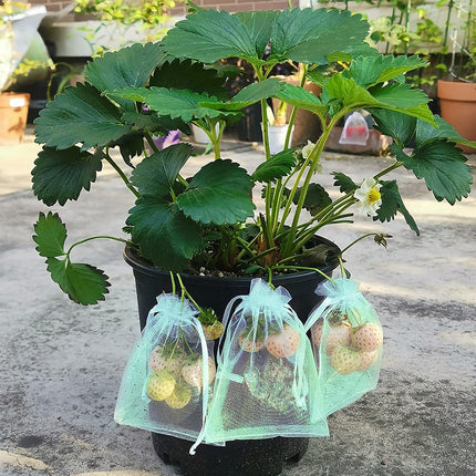 50 Pcs Fruit Protection Bags,8''×12''Fruit Netting Bags for Fruit Trees Fruit Cover Mesh Bag with Drawstring Netting Barrier Bags for Plant Fruit Flower.