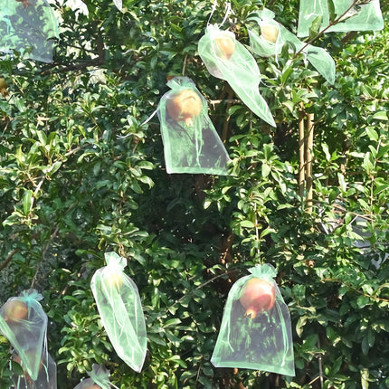 50 Pcs Fruit Protection Bags,8''×12''Fruit Netting Bags for Fruit Trees Fruit Cover Mesh Bag with Drawstring Netting Barrier Bags for Plant Fruit Flower.