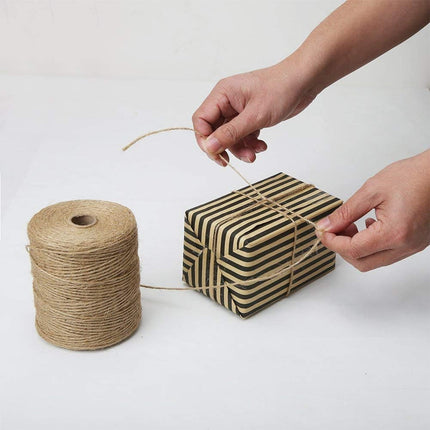 Natural Jute Twine, 984 Feet 2mm Garden Twine, Brown Jute String for Arts and Crafts, Gardening, Gift Wrapping, Bundling, Recycling.