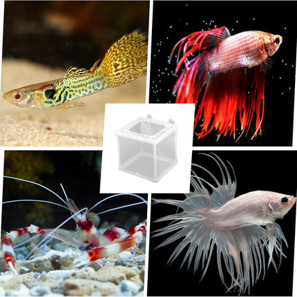 2 Pack Fish Incubator Mesh Box Aquarium, 6.3" x 5.51" x 5.91" Breeder Box for Fish Tank White Nylon Mesh Fishes Breeder Boxes for Aquarium Juvenile Fishes Separation Net Fry Hatchery with Suction Cups.