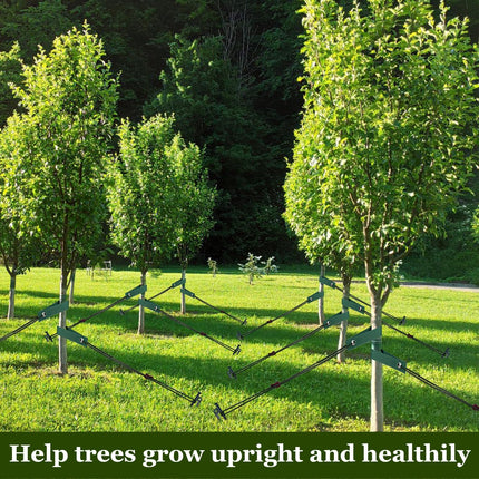 Tree Stakes and Supports, Heavy Duty Tree Stakes Kit Include 3Pcs Tree Straps for Staking, 3Pcs 12" Steel Spikes, and 39Ft Rope, Tree Supports for Young Tree Anti Strong Wind, Bad Weather.
