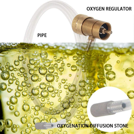 Aeration Stone 0.5 Micron Stainless Steel Oxygenation Diffusion Stone 1/4" Barb for Home brewing Wine Beer Soda + 20 Inch Silicone Hose (Pack of 2).