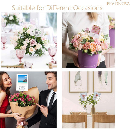 Occasions Cartoz.