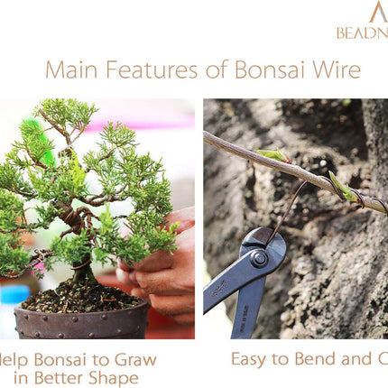 Plant Training Wire 98 Feet Copper Bonsai Tree Aluminium Plant Wire for Training Indoor and Outdoor (Copper, 2mm, 30m).