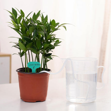 200 feet 1/4 inch Self Watering Capillary Wick Cord Vacation Plant Sitter DIY Hydroponic Wicking Rope Seeds Start Planter Pot Automatic Potted Flower Passive Lazy Waterer String System Device.