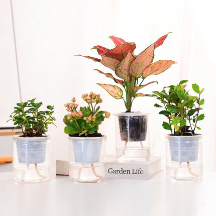 200 feet 1/4 inch Self Watering Capillary Wick Cord Vacation Plant Sitter DIY Hydroponic Wicking Rope Seeds Start Planter Pot Automatic Potted Flower Passive Lazy Waterer String System Device.