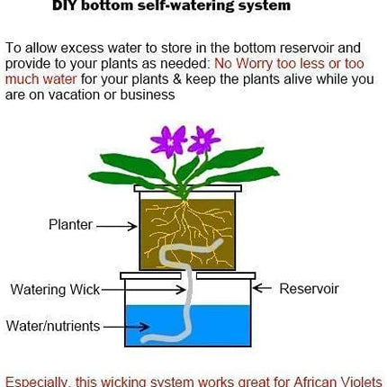 Self Watering Capillary Wick Cord (30 feet 1/6 inch+50 feet 1/4 inch) Vacation Plant Sitter DIY Self-Watering Planter Pot Automatic Wicking Hydroponic System Potted Auto Seedling Waterer Rope.