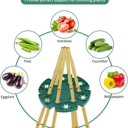 6 Pcs Bamboo Cane Holder Plastic Plant Cane Support Caps Holders for Climbing Plants Sweet Peas Beans Green.