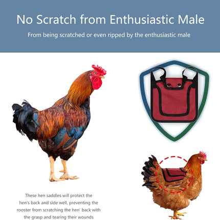 3 Piece Chicken Saddle Set Red/Blue/Purple Elastic Strap Back and Side Protection Poultry Accessories.