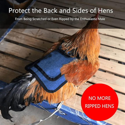 3 Piece Chicken Saddle Set Red/Blue/Purple Elastic Strap Back and Side Protection Poultry Accessories.