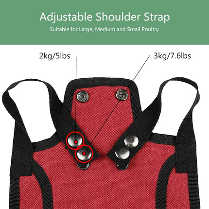 3 Piece Chicken Saddle Set Red/Blue/Purple Elastic Strap Back and Side Protection Poultry Accessories.