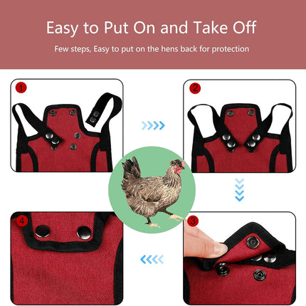 3 Piece Chicken Saddle Set Red/Blue/Purple Elastic Strap Back and Side Protection Poultry Accessories.