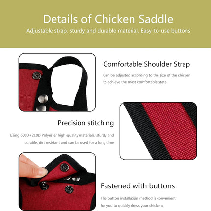 3 Piece Chicken Saddle Set Red/Blue/Purple Elastic Strap Back and Side Protection Poultry Accessories.