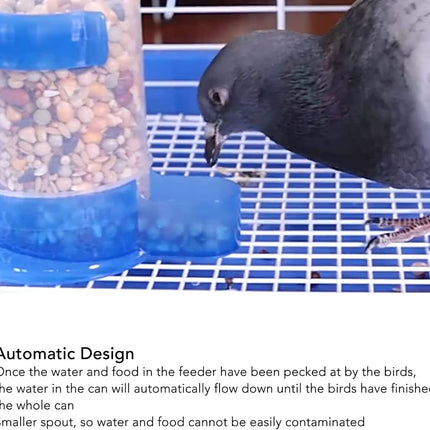 Automatic Hanging Bird Cage Waterer 1 Piece - Plastic Drinker for Quail, Tiger Skin Parrot, Lovebird, Canary and Other Birds.