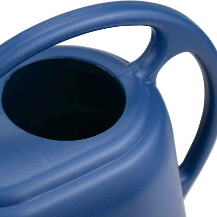 1 Gallon Blue Watering Can for Indoor Outdoor Plants.
