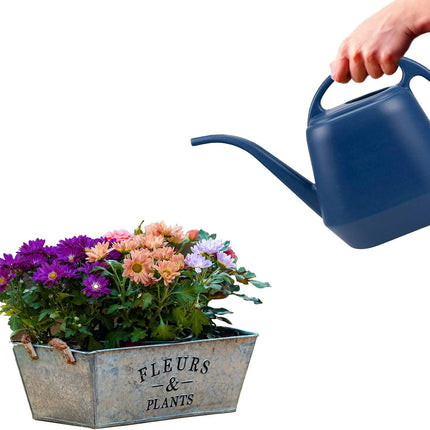 1 Gallon Blue Watering Can for Indoor Outdoor Plants.